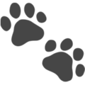 Paws.png